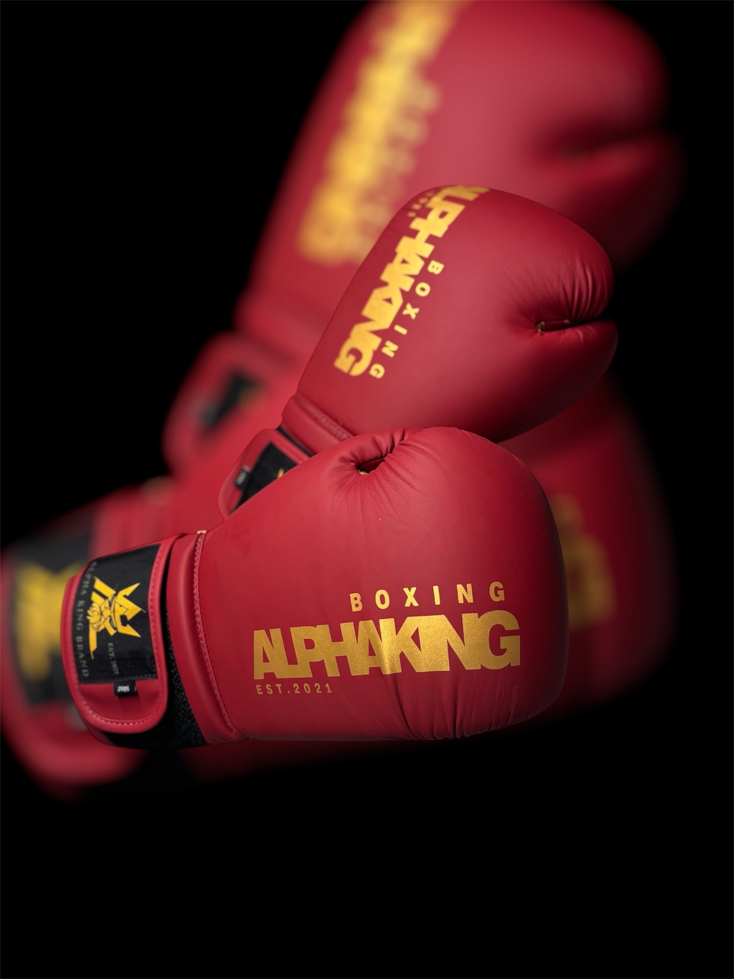 Alpha King Brand Boxing Gloves